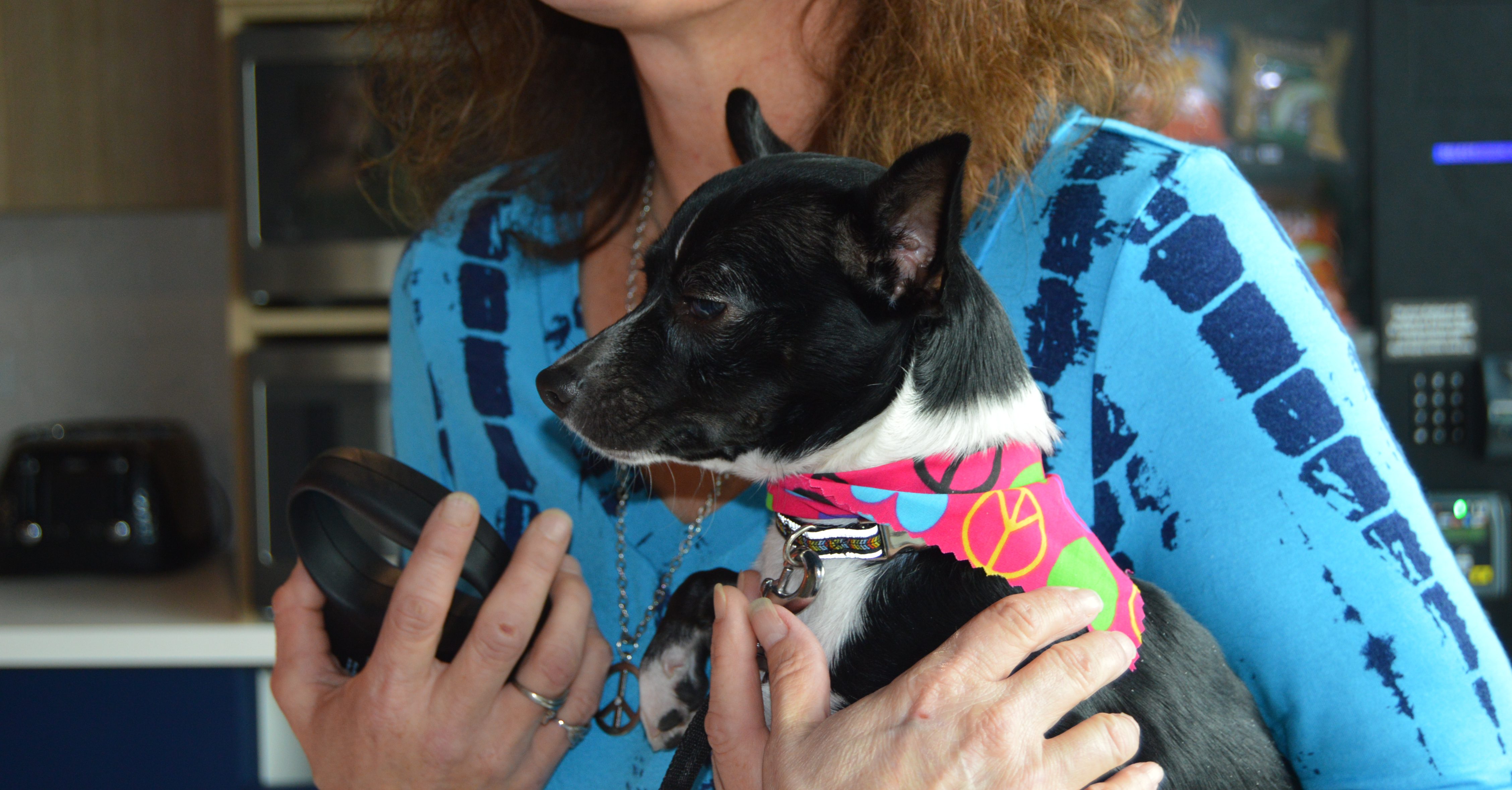 Richardson Rescue Receives $7,400 from Remi and Insperity